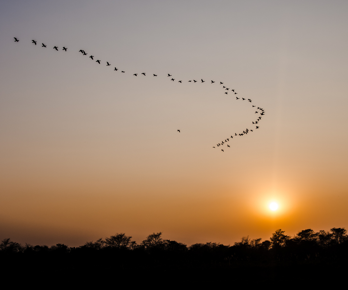 제목 추가 (89).png