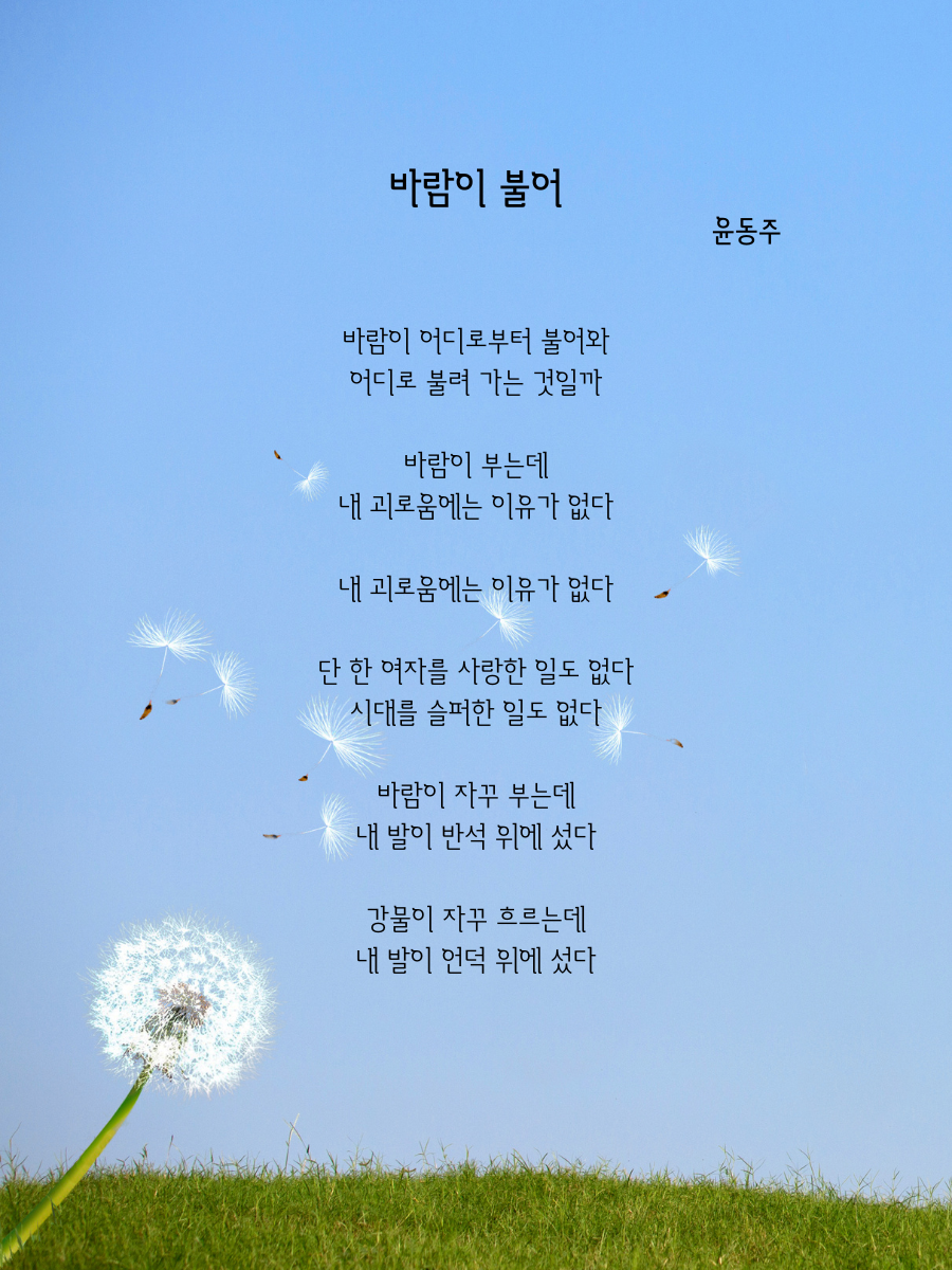 바람이 불어.png