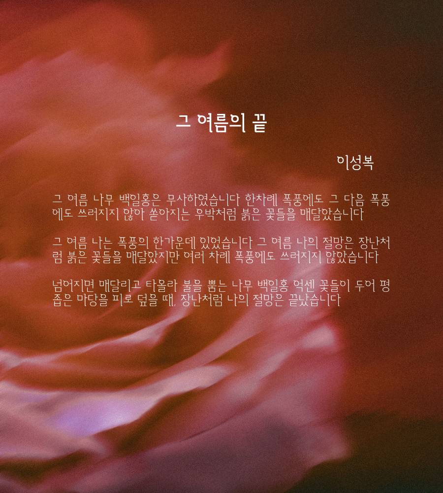 그 여름 나무 백일홍은 무사하였습니다 한차례 폭풍에도 그 다음 폭풍에도 쓰러지지 않아 쏟아지는 우박처럼 붉은 꽃들을 매달았습니다 그 여름 나는 폭풍의 한가운데 있었습니다 그 여름 나의 절망은 장난처럼 붉은 꽃들을 매달았지만 여러 차례 폭풍에도 쓰러지지 않았습니다 넘어지면 매달리고 타올라 불을 뿜는 나무 백일홍 억센 꽃들이 두어 평 좁은 마당을 피로 .png