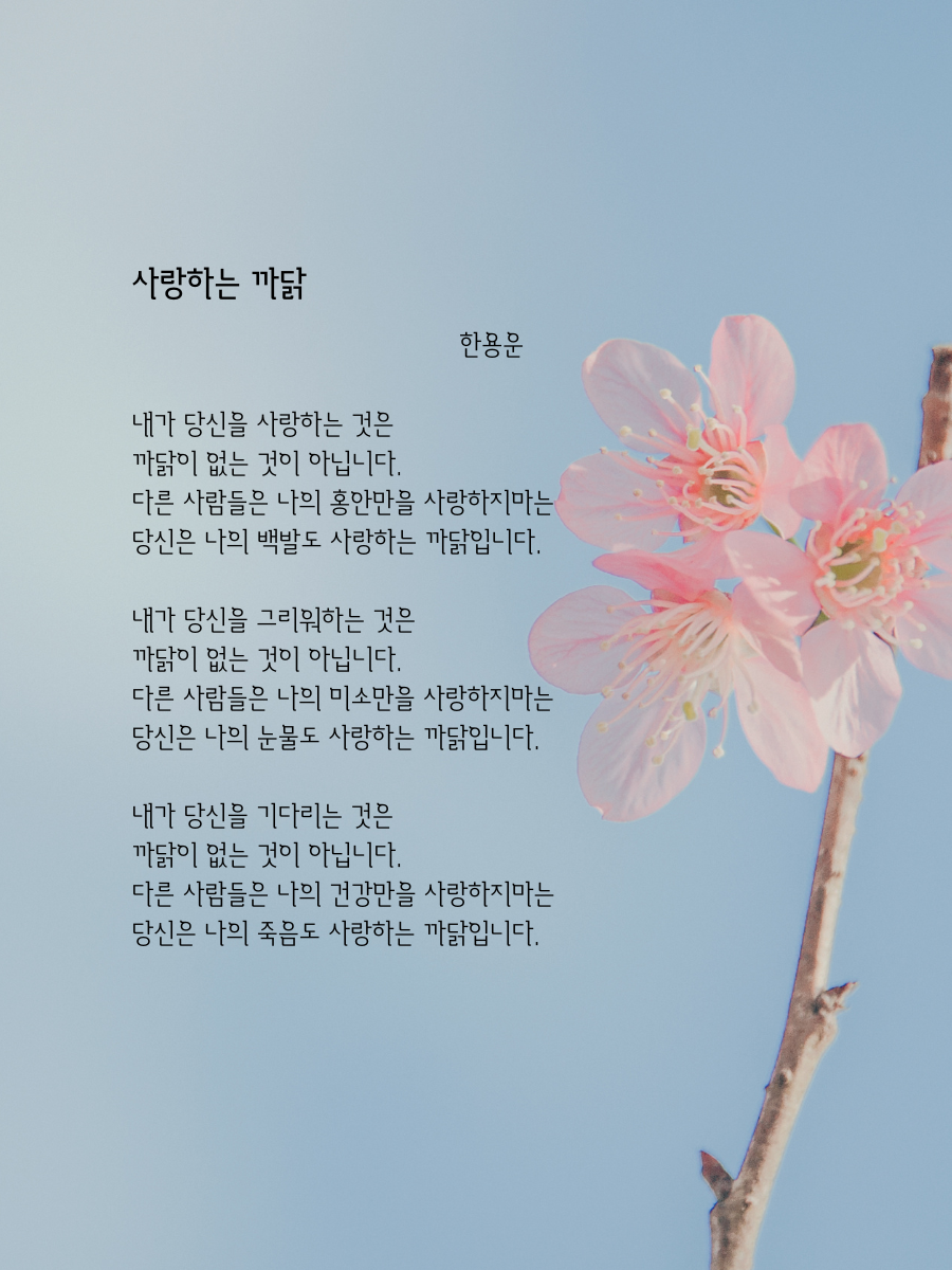 한용운 사랑하는까닭.png