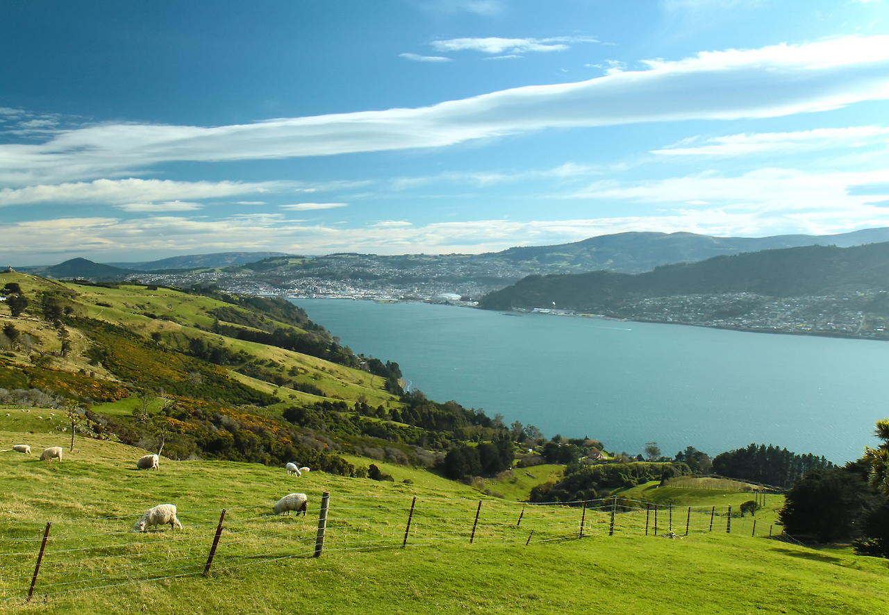 제목 없음 (1150 x 1024 px) (5).png