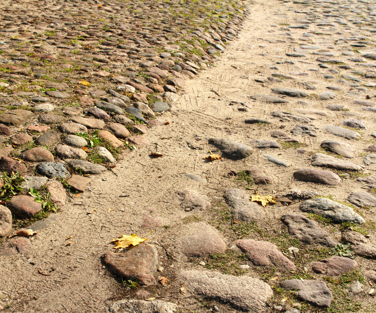 제목 추가 (58).png