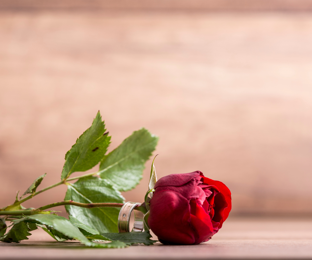 제목 추가 (71).png