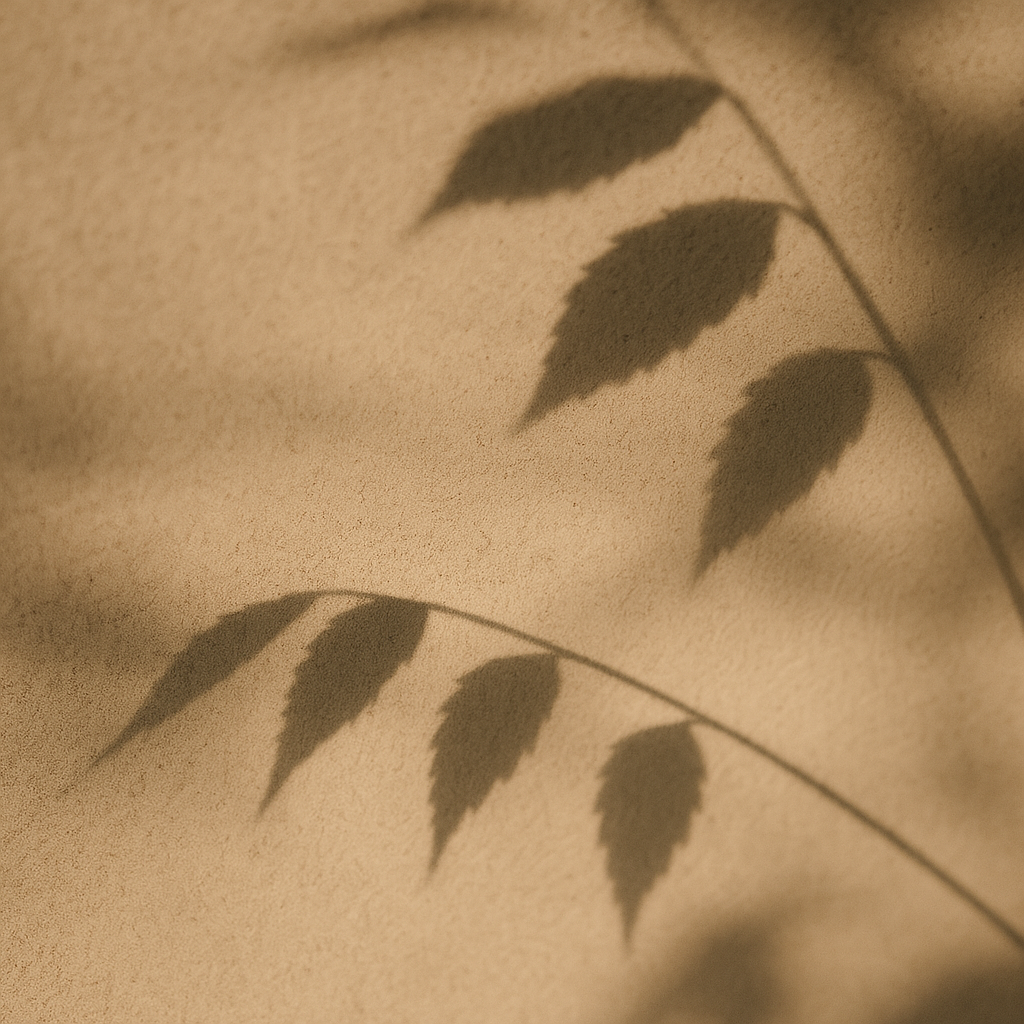 ChatGPT Image 2025년 10월 25일 오후 04_52_21.png