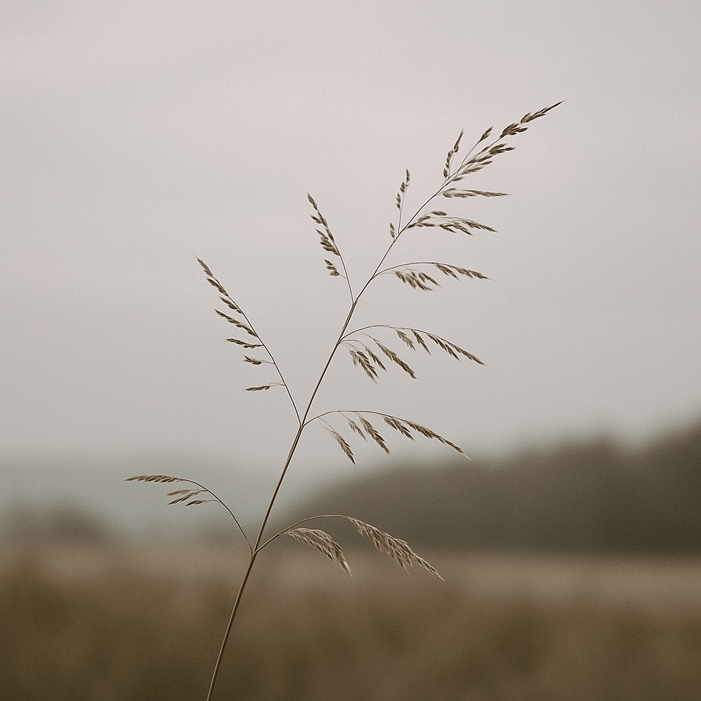 ChatGPT Image 2025년 11월 8일 오후 06_20_22.png