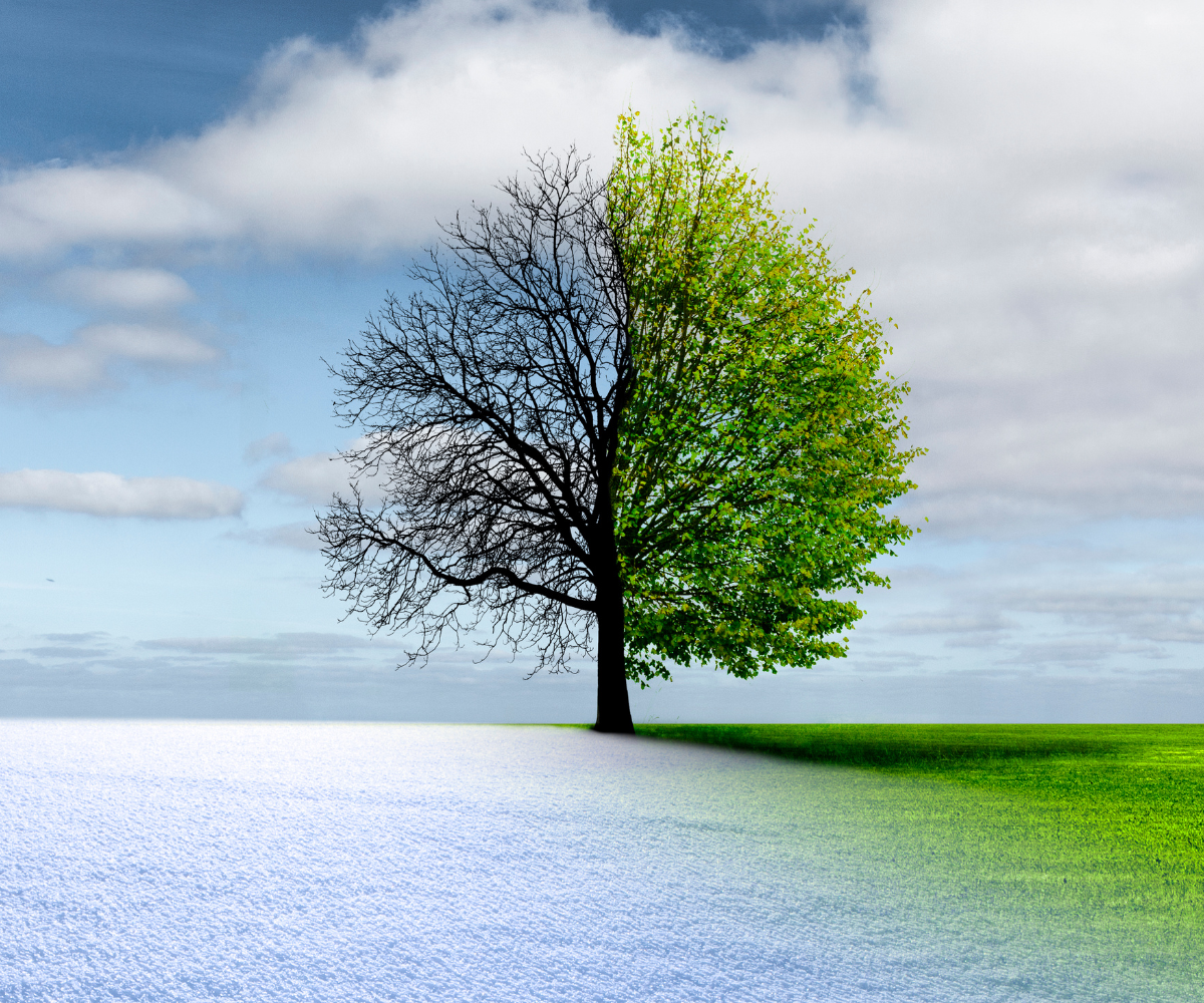 제목 추가 (12).png