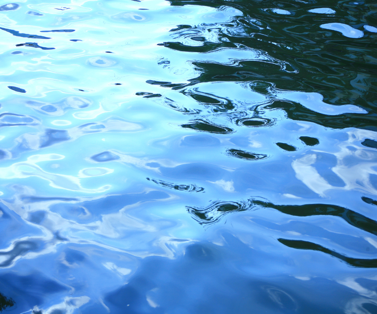 제목 추가 (61).png