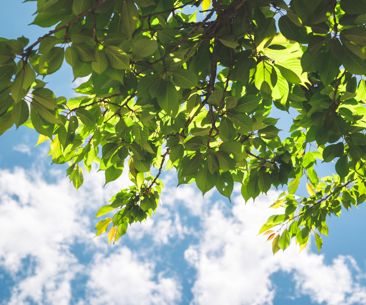 제목 추가 (60).png