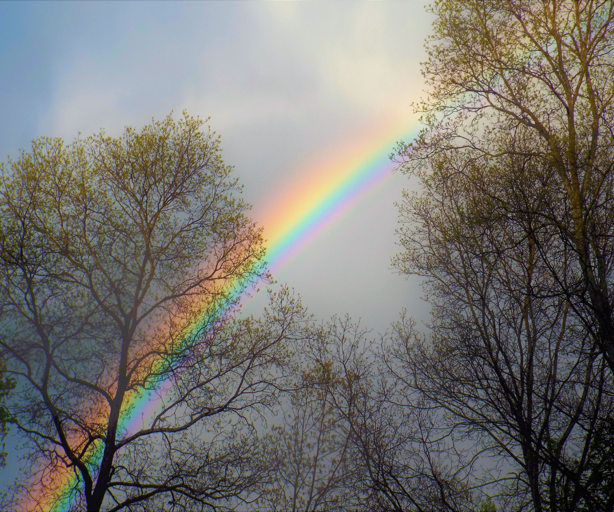 제목 추가 (86).png