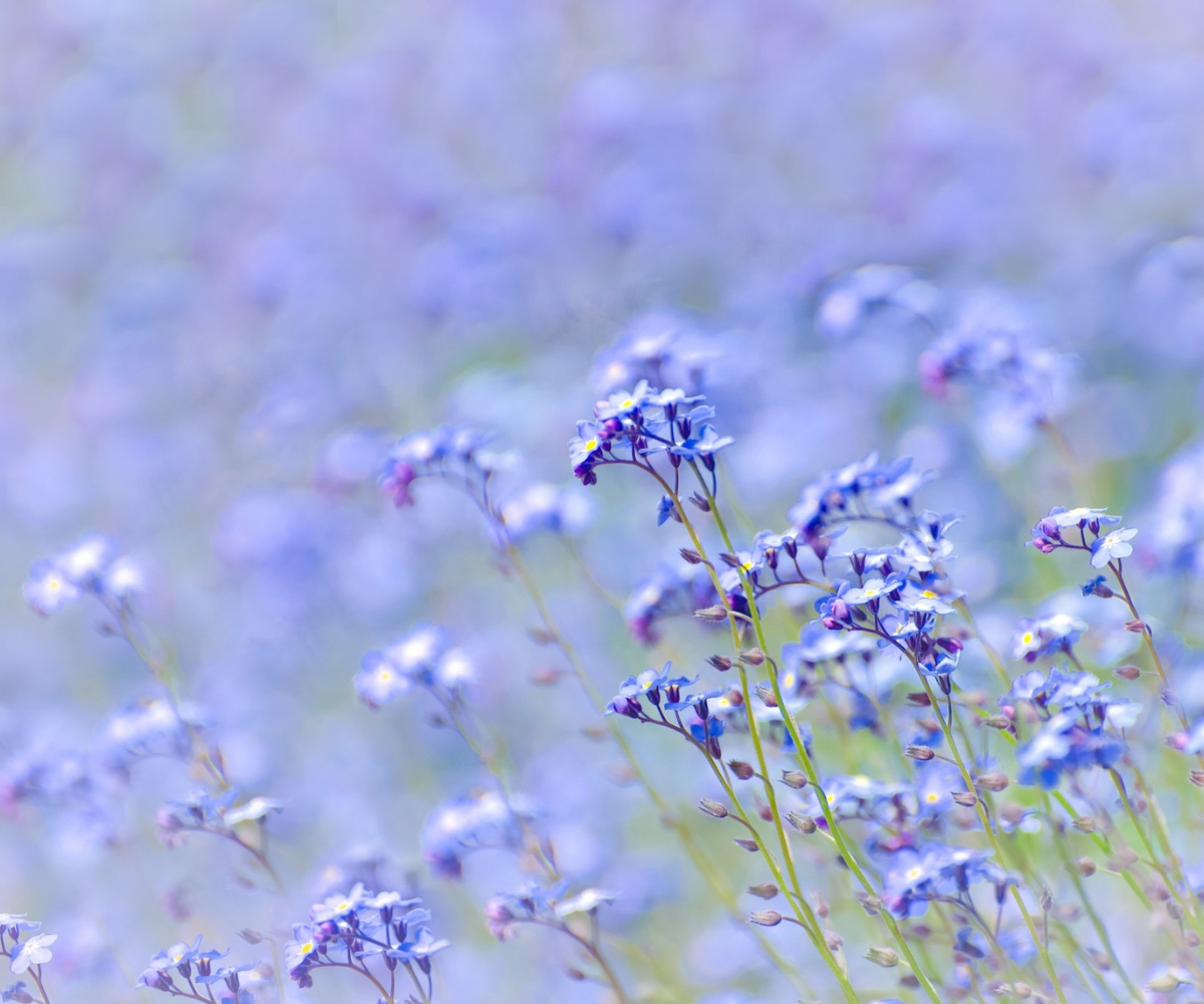 제목 추가 - 2025-05-01T085414.691.png