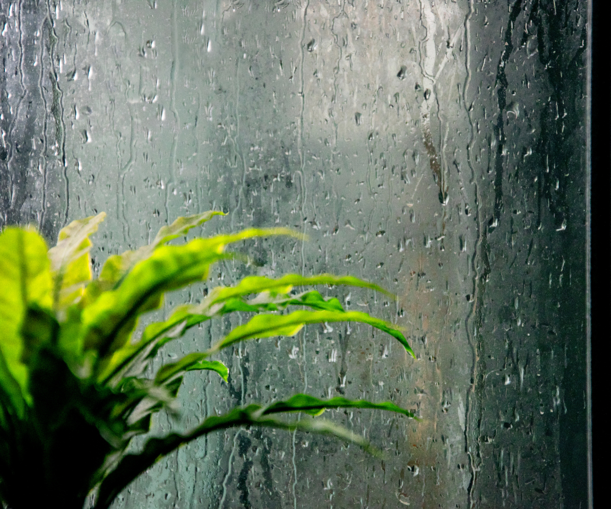 제목 추가 - 2025-04-26T164946.696.png