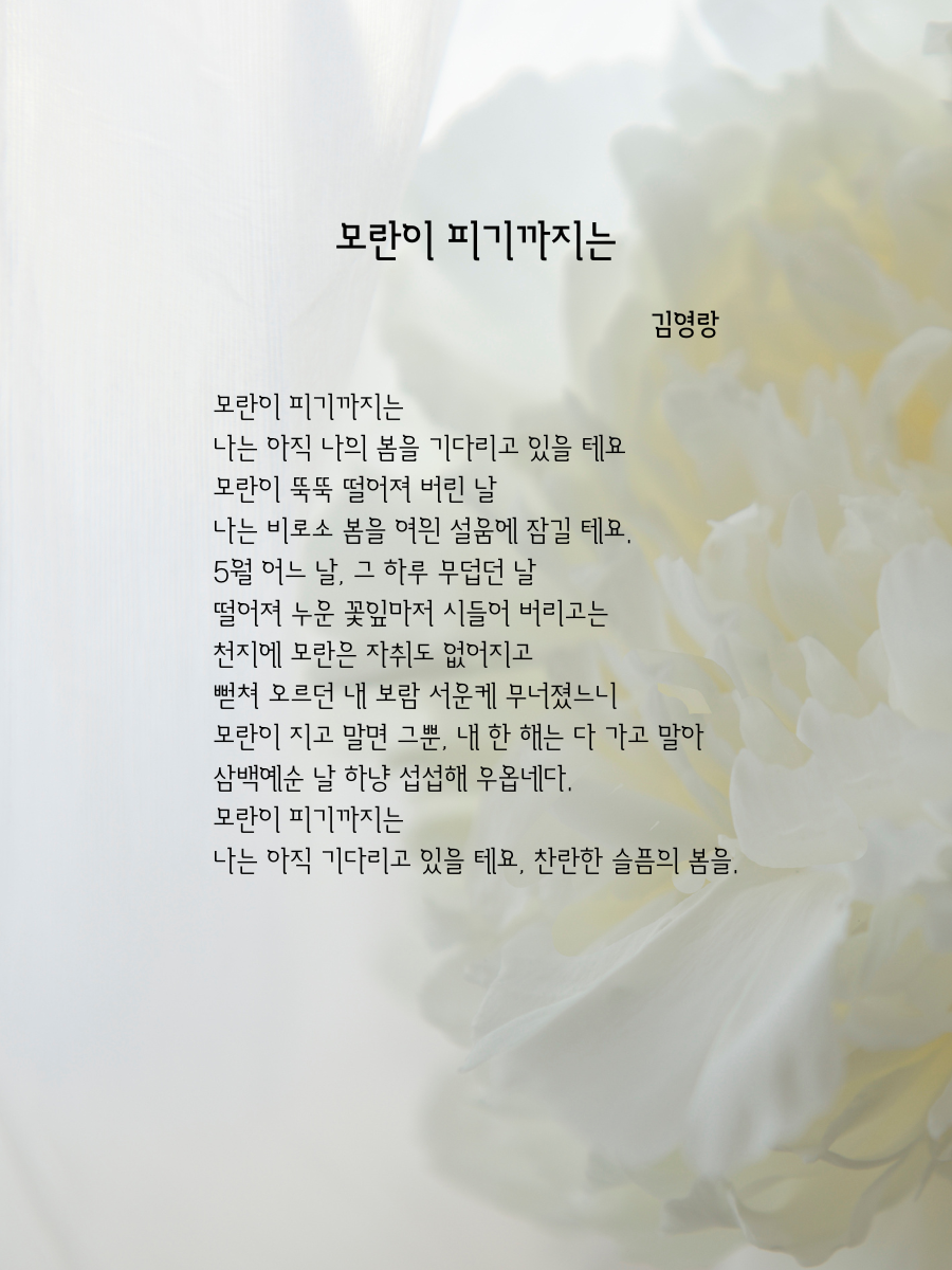 제목 추가 (76).png