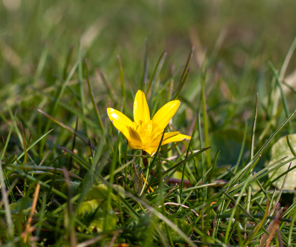 제목 추가 - 2025-05-01T085304.362.png