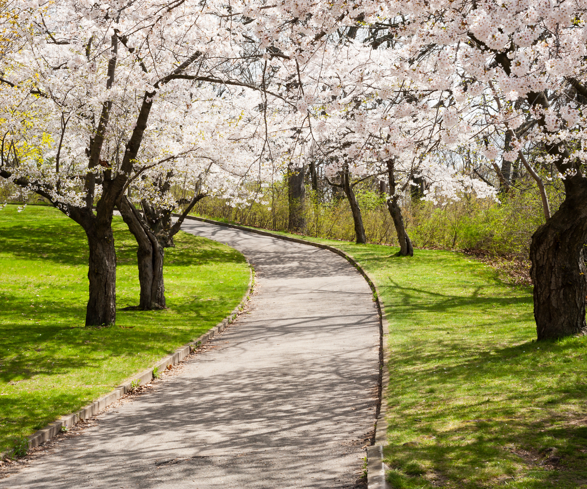 제목 추가 (14).png