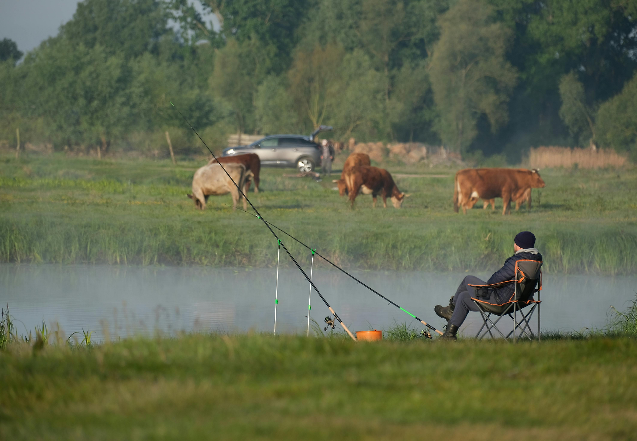 제목 없음 (1150 x 1024 px) (6).png