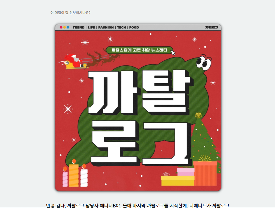 까탈로그_마케팅 뉴스레터.png