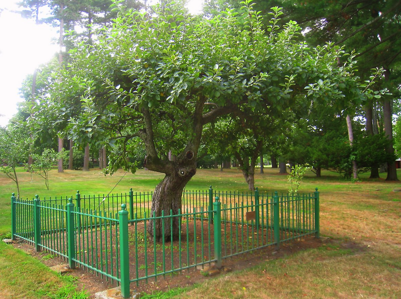 스크린샷 2019-11-17 오후 10.36.55.png