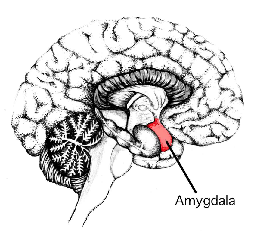 스크린샷 2019-05-19 오후 11.08.38.png