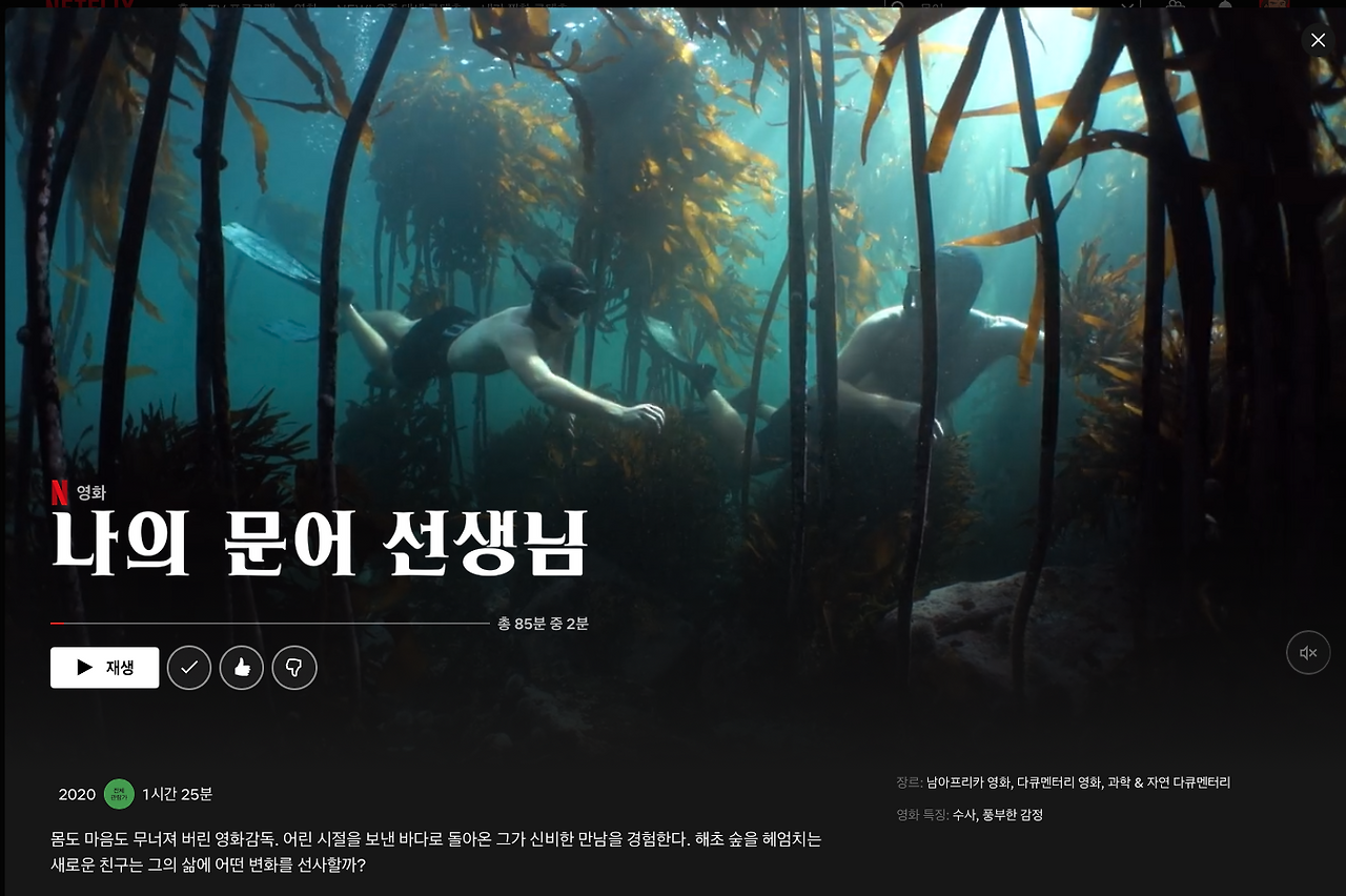 스크린샷 2020-12-31 오후 9.09.20.png