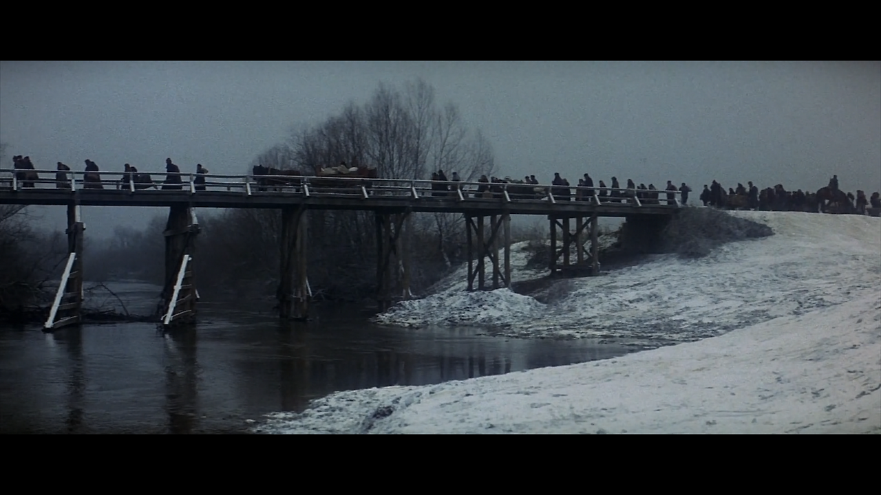 추방된 사람들.png