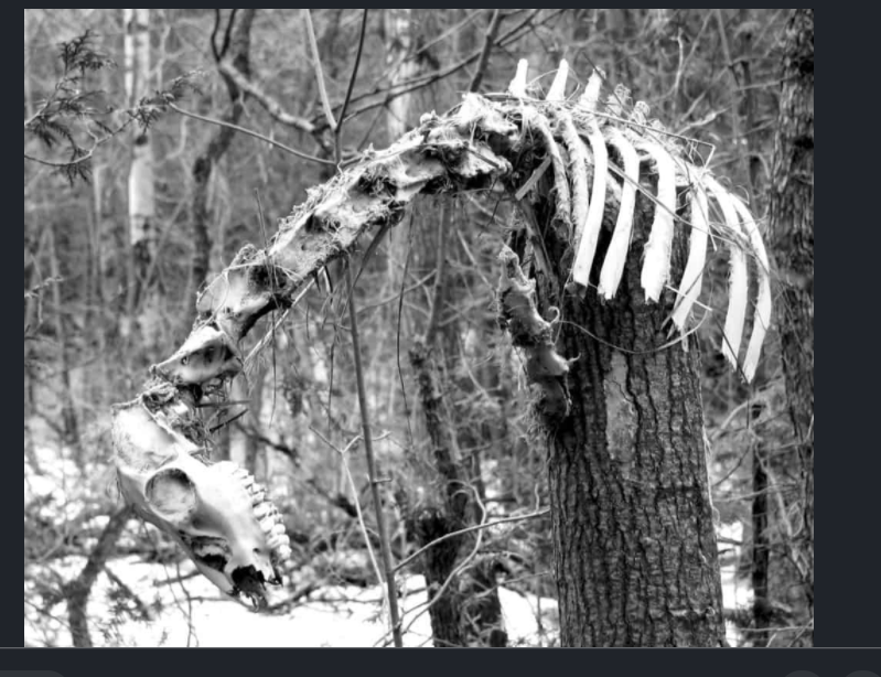 Screenshot 2020-06-30 at 6.05.34 PM.png