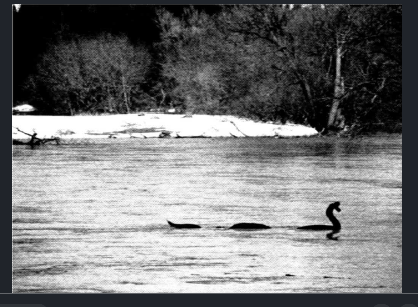 Screenshot 2020-06-30 at 6.04.46 PM.png