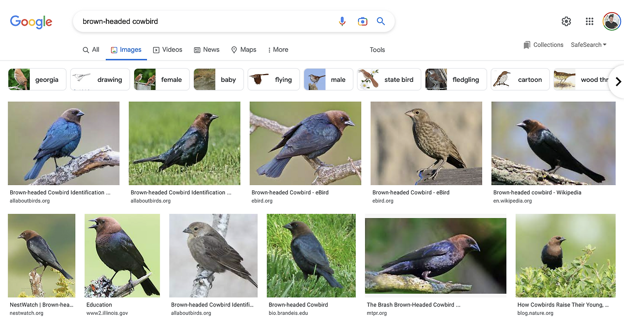 스크린샷 2022-08-28 오후 7.12.19.png