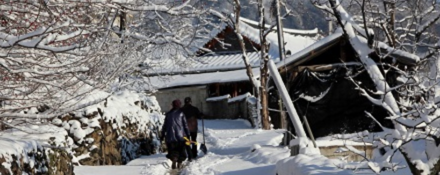 Screen Shot 2017-11-25 at 5.20.25 PM.png