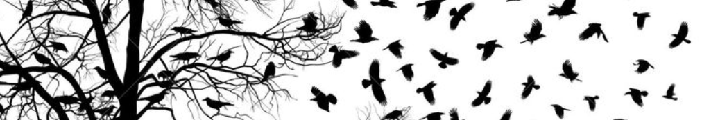 Screen Shot 2017-11-23 at 2.06.05 PM.png