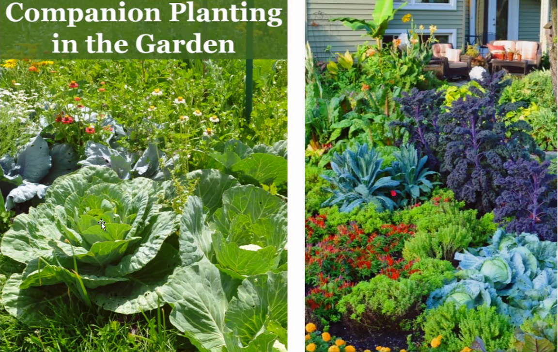 스크린샷 2022-08-27 오전 11.25.45.png