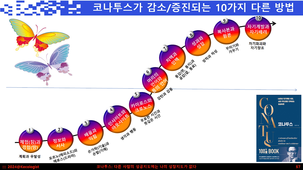 코나투스 10개.png