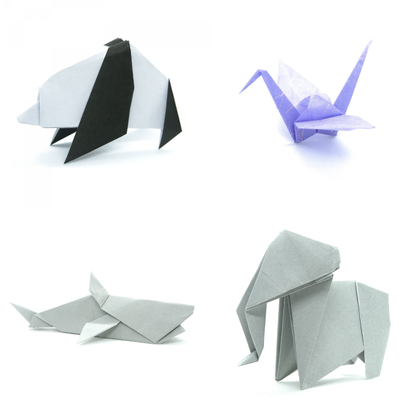 Monosnap 프레젠테이션1 2025-04-28 13-45-36.png