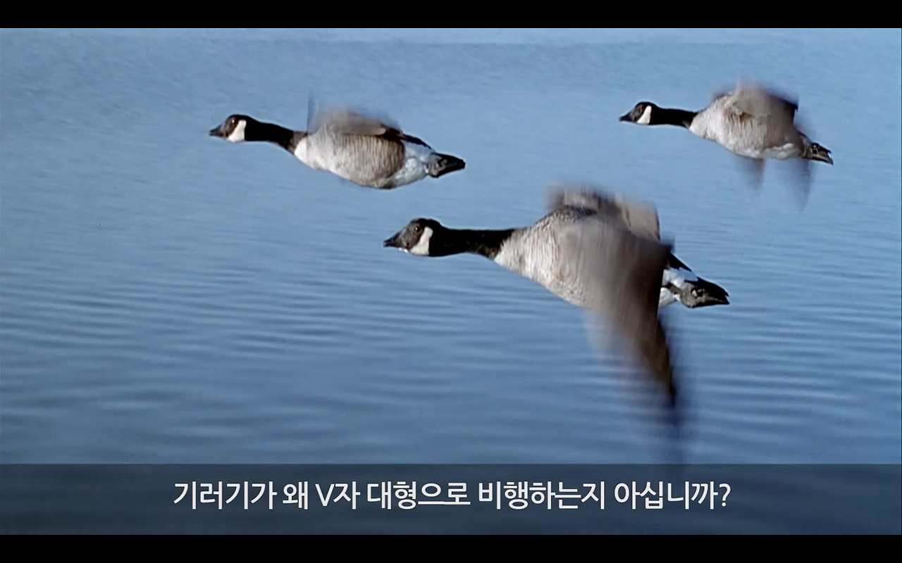 스크린샷 2022-09-19 오전 12.39.50.png