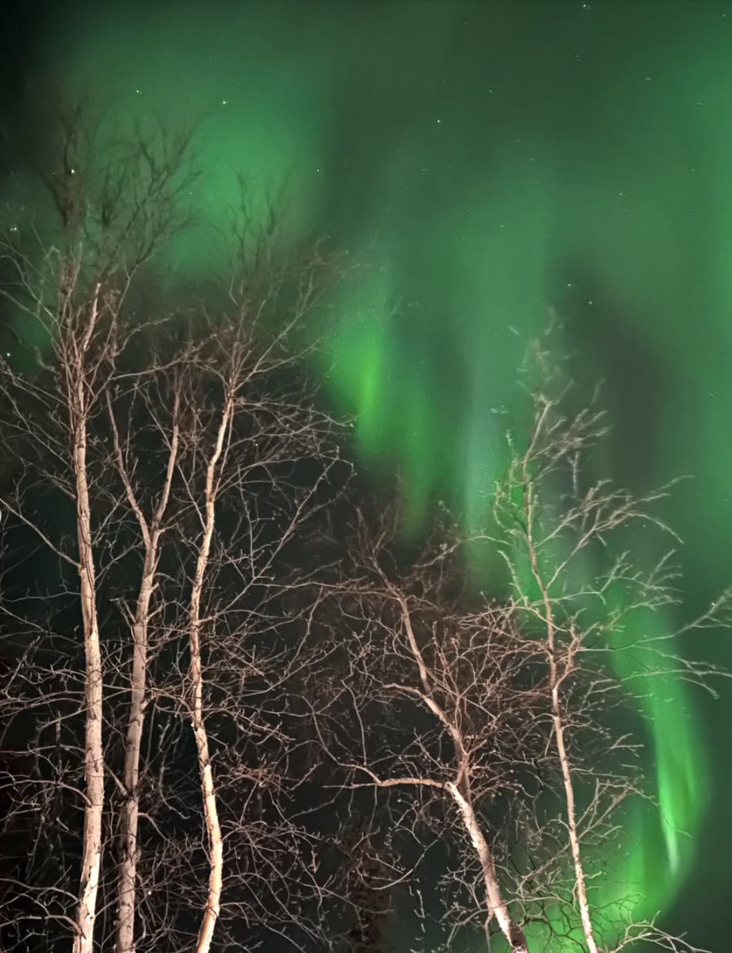 Screenshot 2025-04-30 at 9.56.42 AM.png