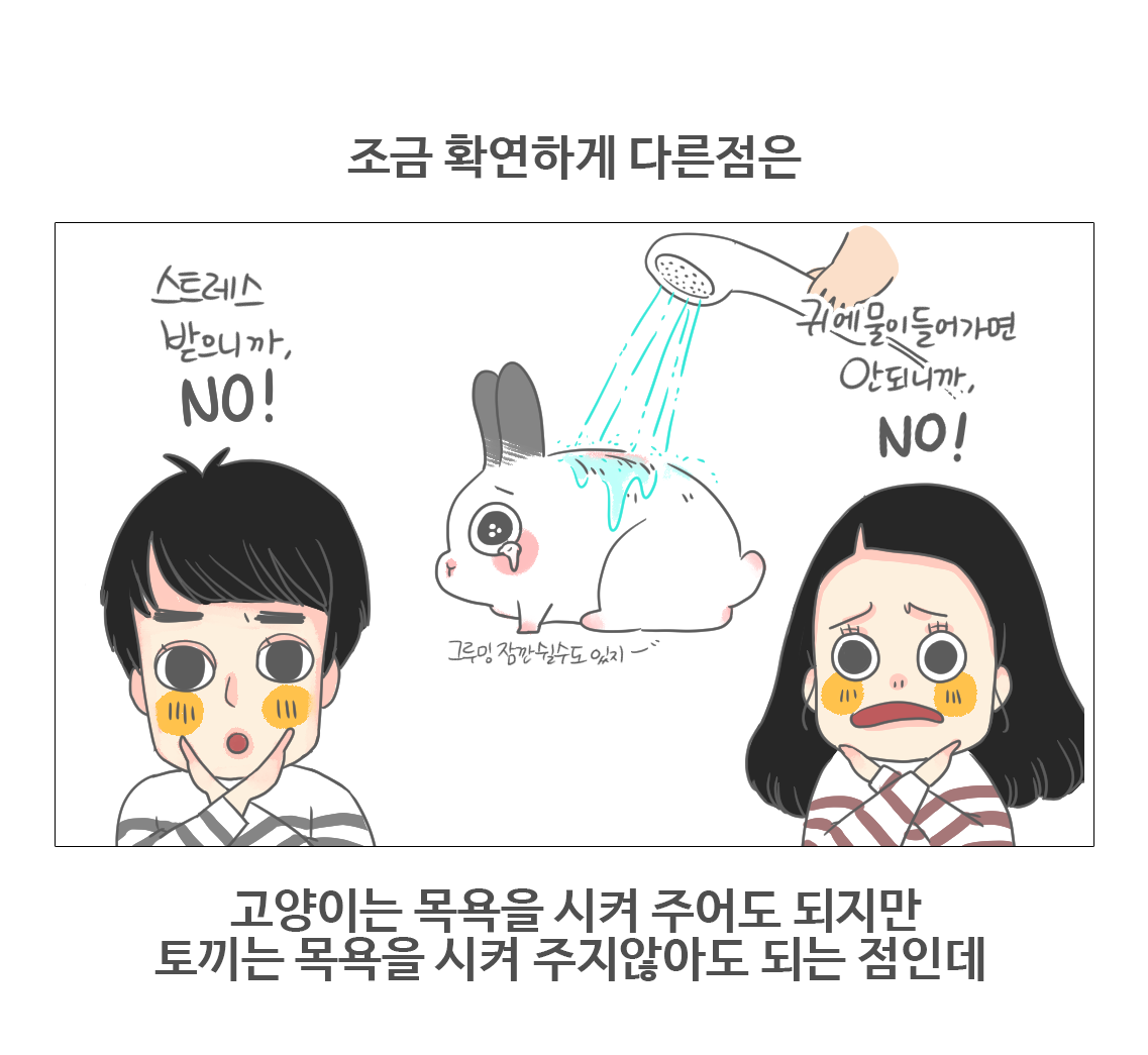 #08-토끼의그루밍_08.png