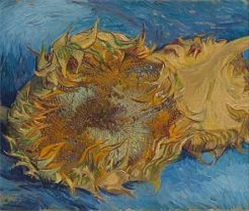 두송이 해바라기.png