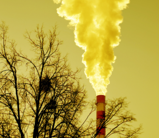 스크린샷 2018-03-06 오전 7.57.06.png