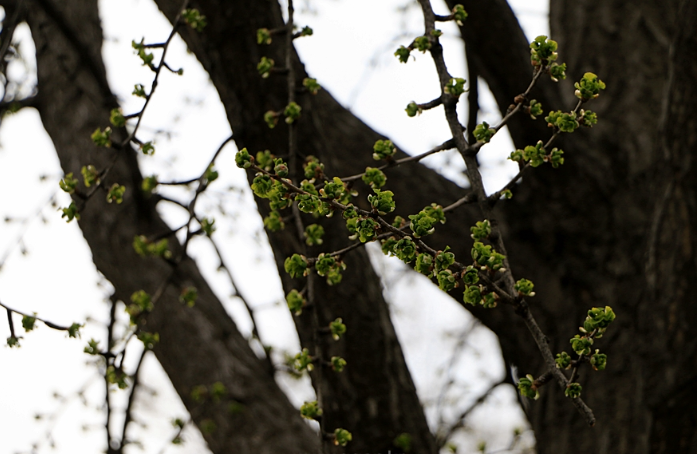 인생의 첫겨울.png