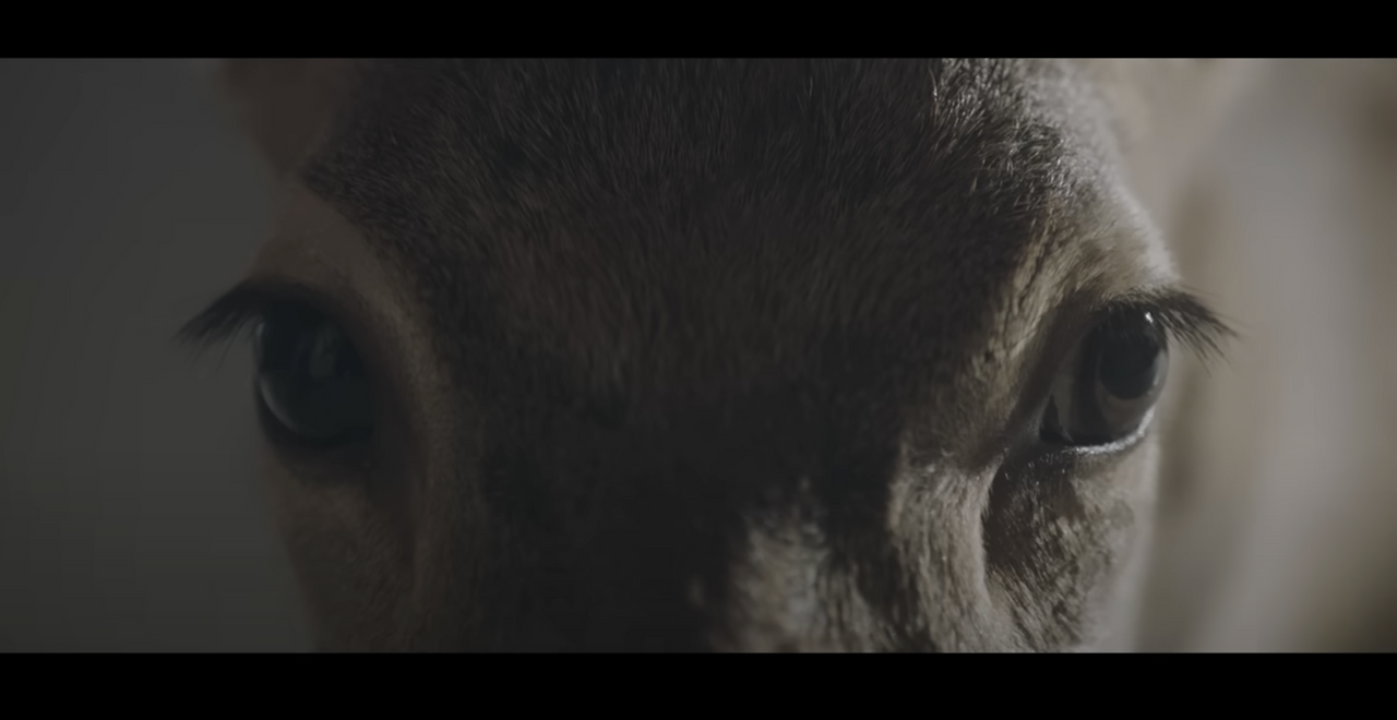 스크린샷 2025-02-17 오후 11.36.17.png