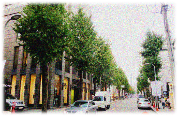 강남 가로수길_edited.png