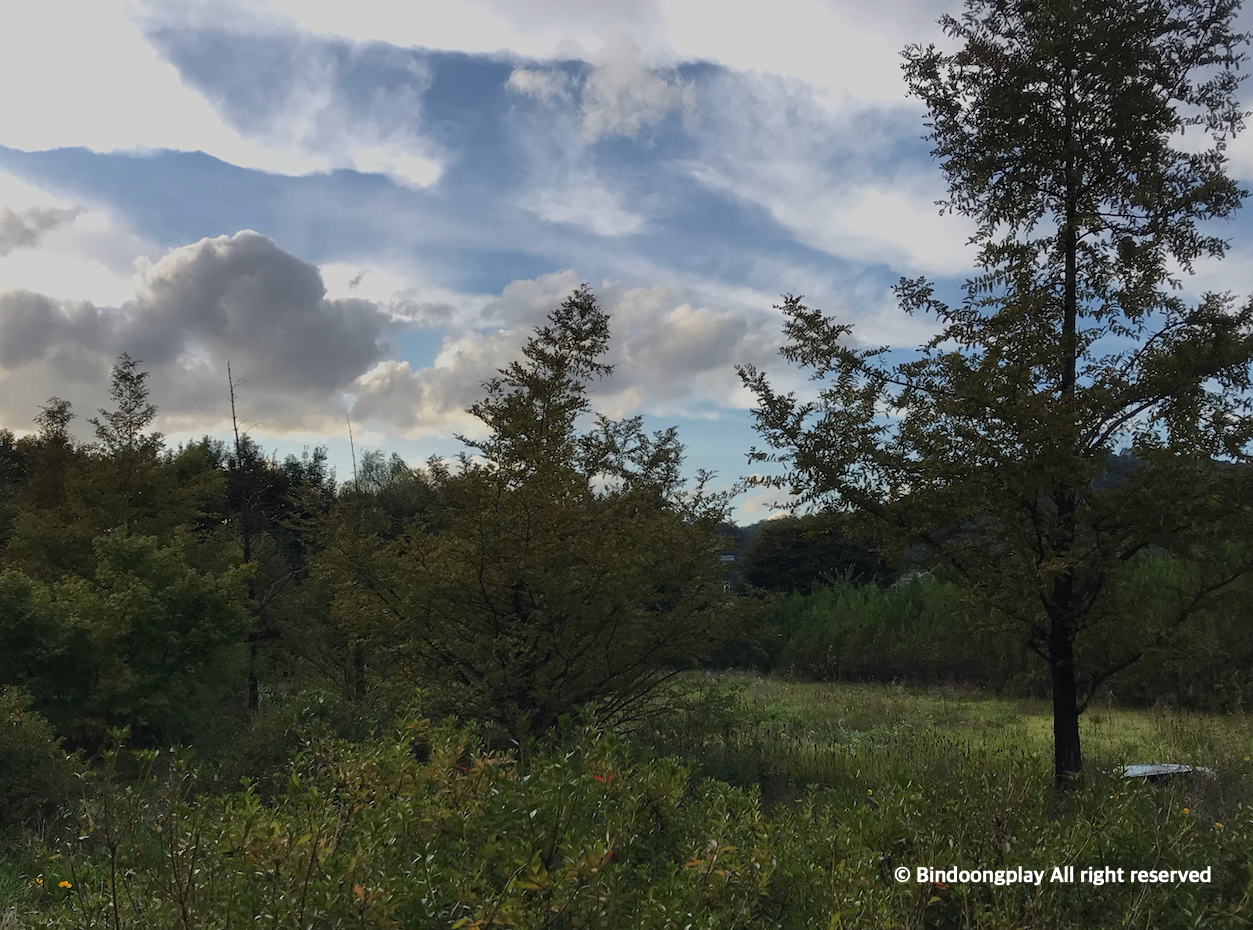 스크린샷 2023-01-31 오후 1.39.24.png