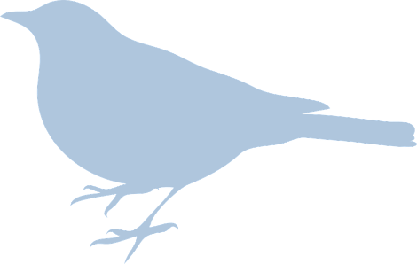 bluebird-297423_960_720.png