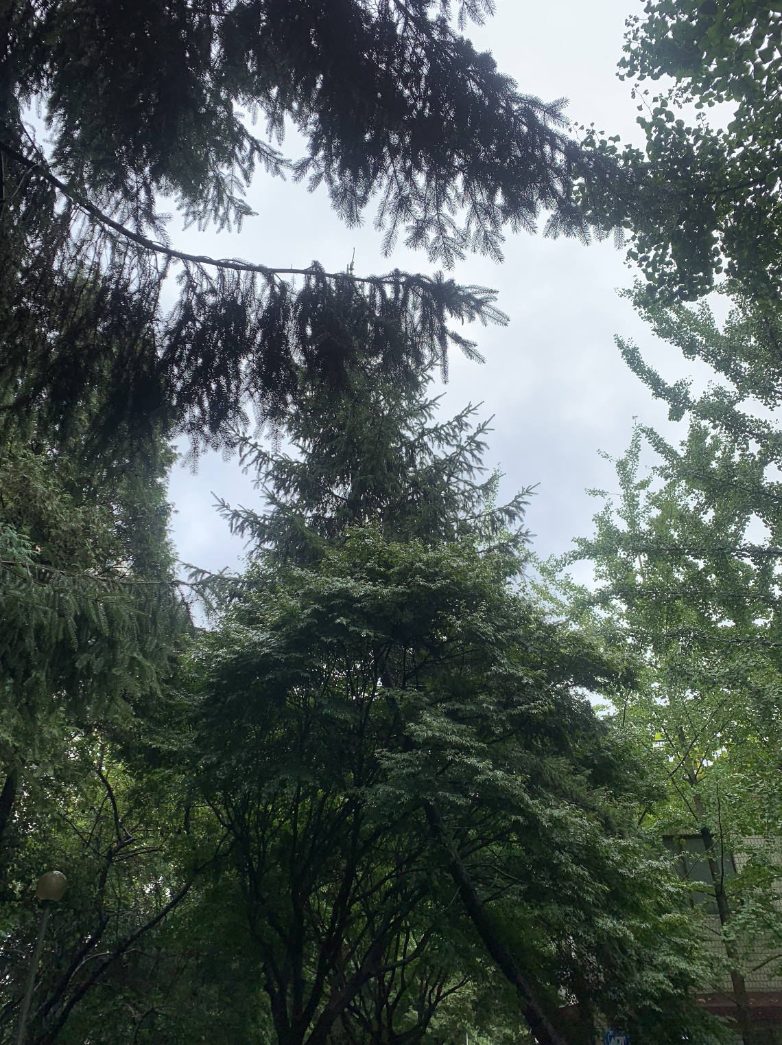 스크린샷 2021-09-24 오후 5.46.11.png