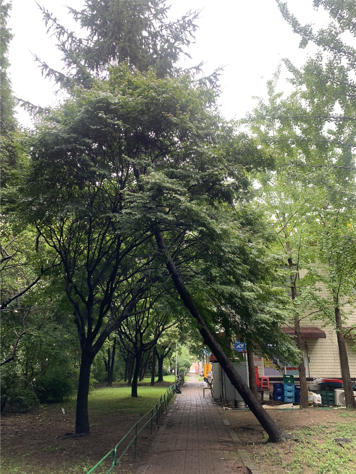 스크린샷 2021-09-24 오후 5.45.26.png