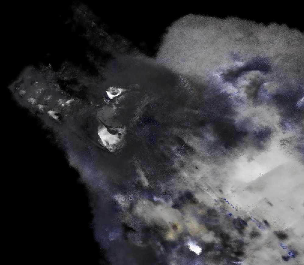 보이드 ngp.png