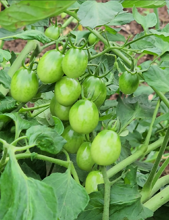 스크린샷 2023-07-13 070644.png