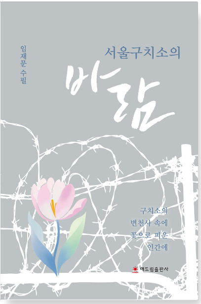 화면 캡처 2025-07-22 060833.png