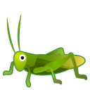 22309-cricket-icon.png