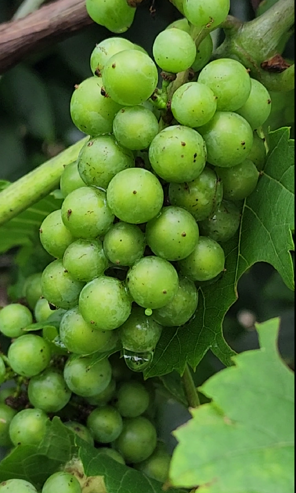 스크린샷 2023-07-13 070602.png