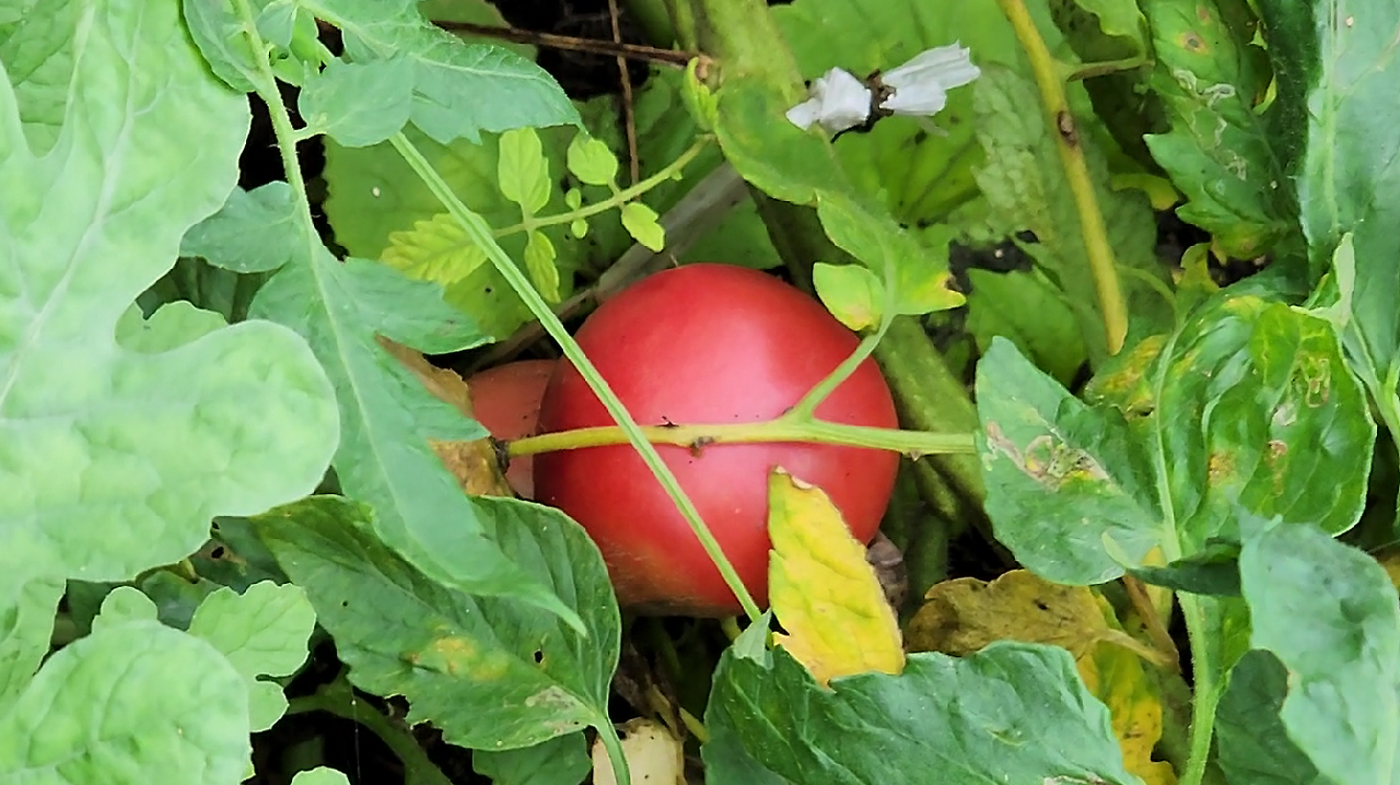 스크린샷 2023-07-13 070353.png